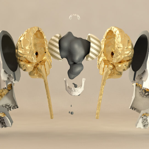 EXPLODED_SKULL