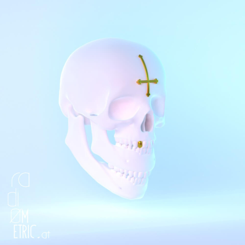 JAWSKULL_02